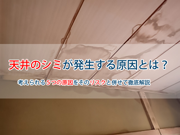 天井のシミが発生する原因とは？考えられる５つの原因をリスクと併せて徹底解説